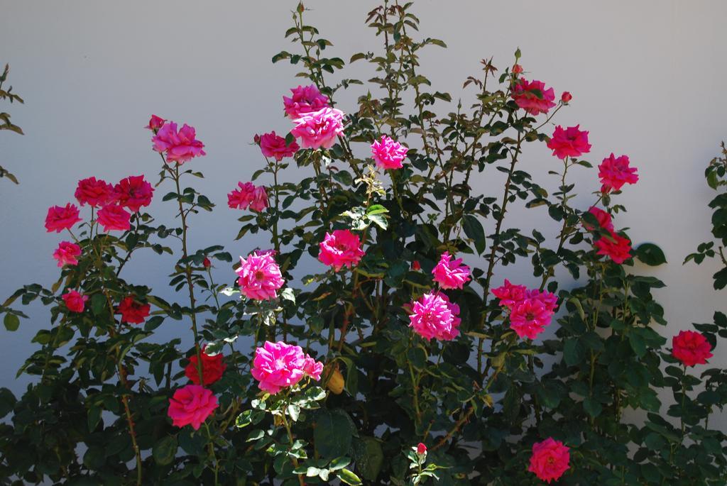 Les Terrasses De Castelmerle Niaux Room photo